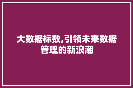 大数据标数,引领未来数据管理的新浪潮