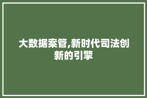 大数据案管,新时代司法创新的引擎