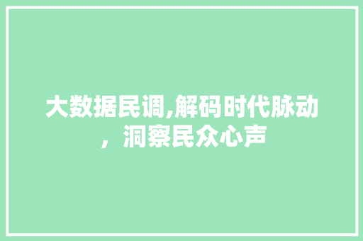 大数据民调,解码时代脉动，洞察民众心声