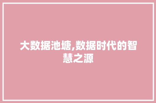 大数据池塘,数据时代的智慧之源