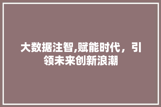 大数据注智,赋能时代，引领未来创新浪潮