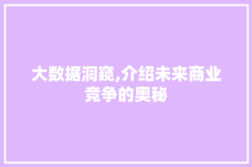 大数据洞窥,介绍未来商业竞争的奥秘