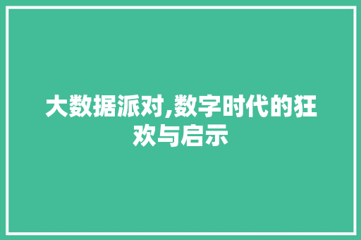 大数据派对,数字时代的狂欢与启示