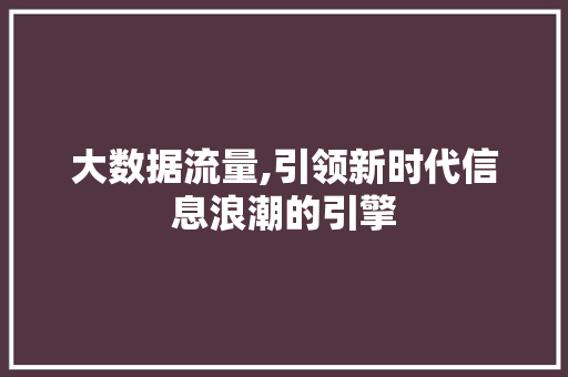 大数据流量,引领新时代信息浪潮的引擎