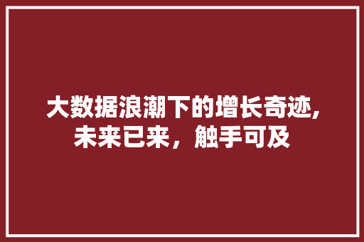 大数据浪潮下的增长奇迹,未来已来，触手可及