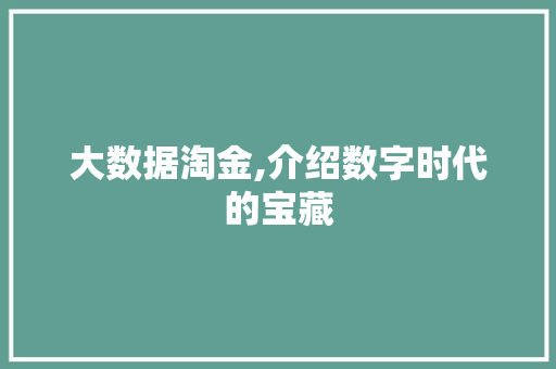 大数据淘金,介绍数字时代的宝藏