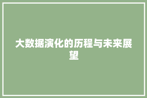 大数据演化的历程与未来展望