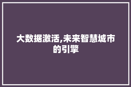 大数据激活,未来智慧城市的引擎