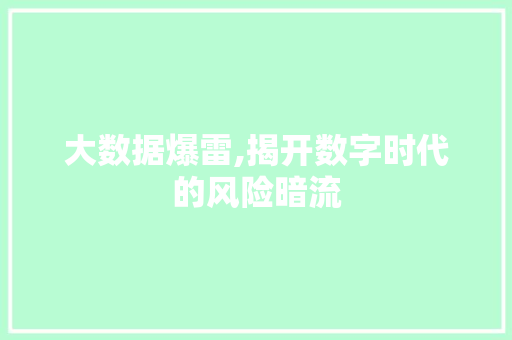 大数据爆雷,揭开数字时代的风险暗流