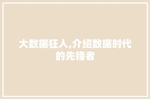 大数据狂人,介绍数据时代的先锋者