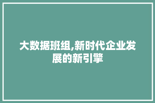 大数据班组,新时代企业发展的新引擎