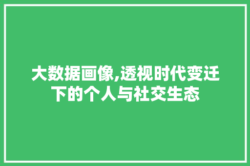 大数据画像,透视时代变迁下的个人与社交生态