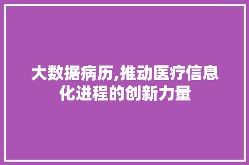 大数据病历,推动医疗信息化进程的创新力量