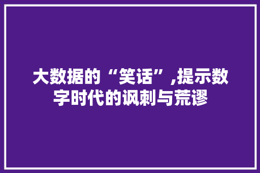 大数据的“笑话”,提示数字时代的讽刺与荒谬