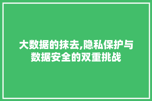 大数据的抹去,隐私保护与数据安全的双重挑战