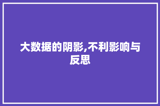 大数据的阴影,不利影响与反思