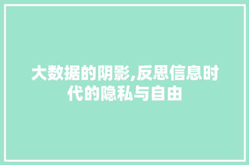 大数据的阴影,反思信息时代的隐私与自由