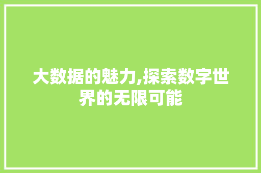 大数据的魅力,探索数字世界的无限可能