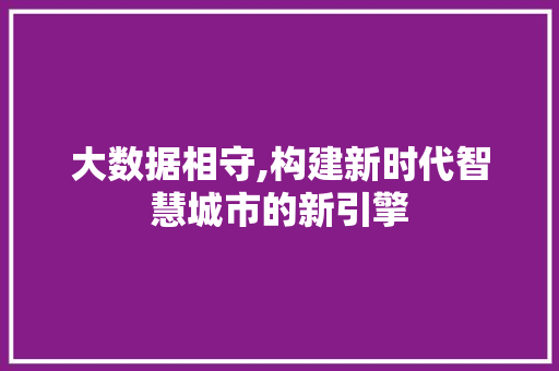 大数据相守,构建新时代智慧城市的新引擎