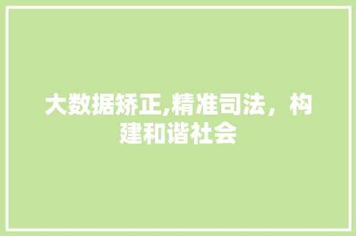 大数据矫正,精准司法，构建和谐社会