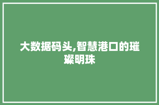 大数据码头,智慧港口的璀璨明珠