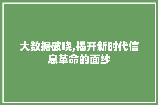 大数据破晓,揭开新时代信息革命的面纱