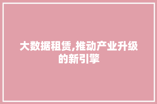 大数据租赁,推动产业升级的新引擎