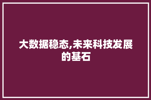 大数据稳态,未来科技发展的基石