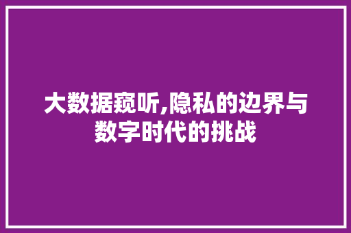 大数据窥听,隐私的边界与数字时代的挑战