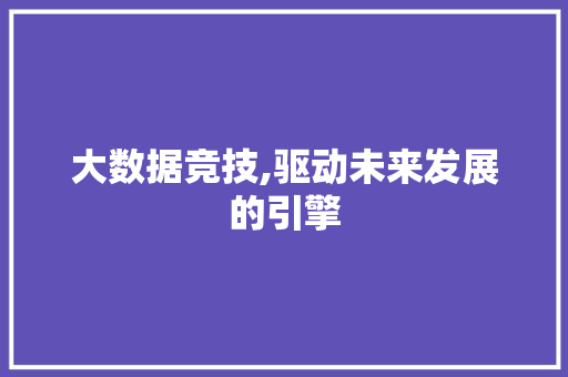 大数据竞技,驱动未来发展的引擎