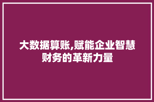 大数据算账,赋能企业智慧财务的革新力量