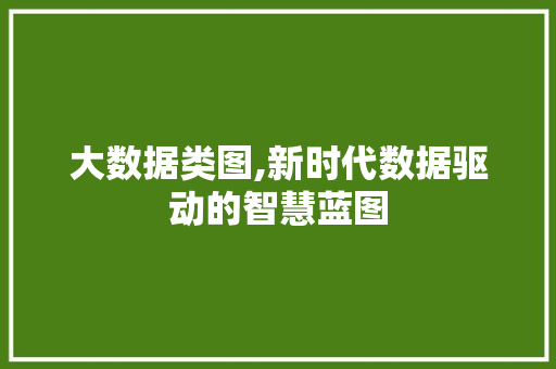 大数据类图,新时代数据驱动的智慧蓝图