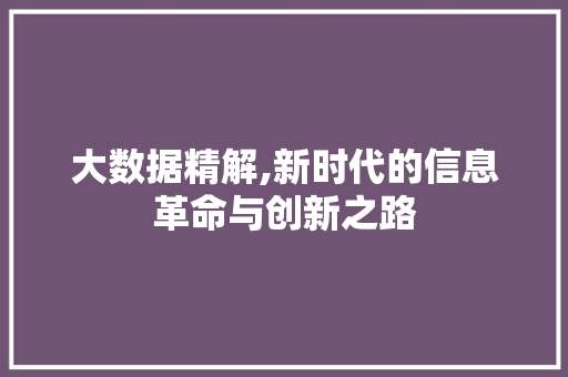 大数据精解,新时代的信息革命与创新之路