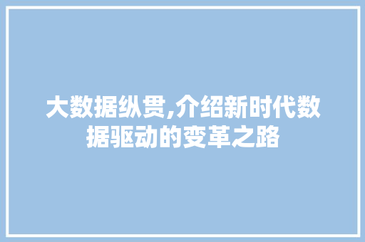 大数据纵贯,介绍新时代数据驱动的变革之路