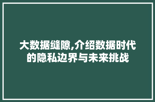 大数据缝隙,介绍数据时代的隐私边界与未来挑战