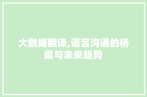 大数据翻译,语言沟通的桥梁与未来趋势