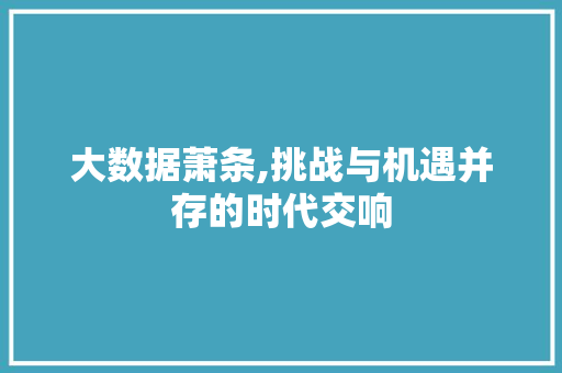 大数据萧条,挑战与机遇并存的时代交响