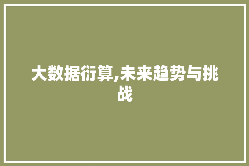 大数据衍算,未来趋势与挑战