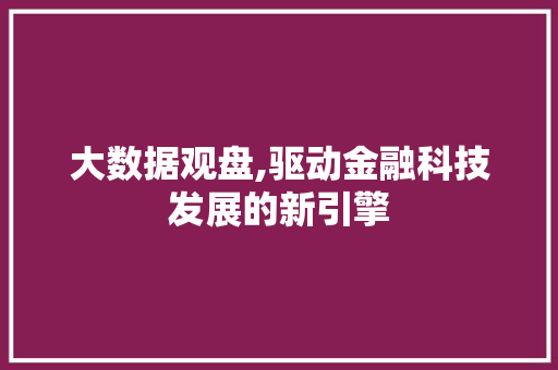 大数据观盘,驱动金融科技发展的新引擎