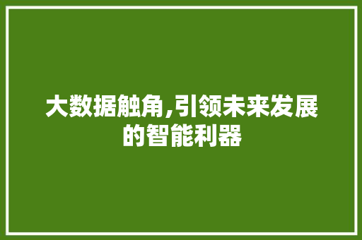 大数据触角,引领未来发展的智能利器