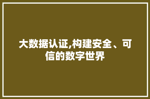 大数据认证,构建安全、可信的数字世界