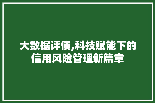 大数据评债,科技赋能下的信用风险管理新篇章