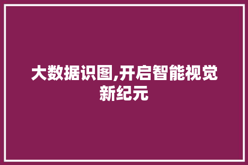 大数据识图,开启智能视觉新纪元