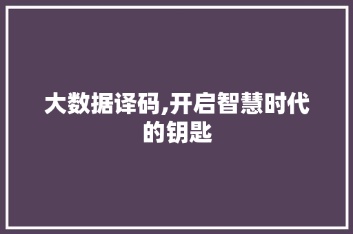 大数据译码,开启智慧时代的钥匙