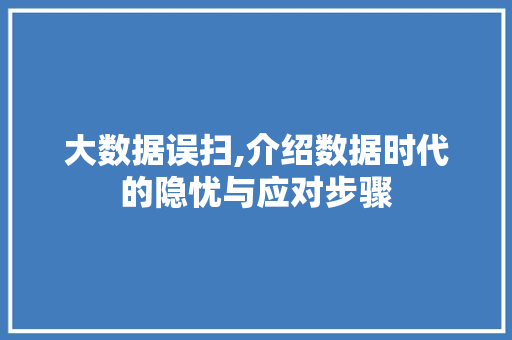 大数据误扫,介绍数据时代的隐忧与应对步骤