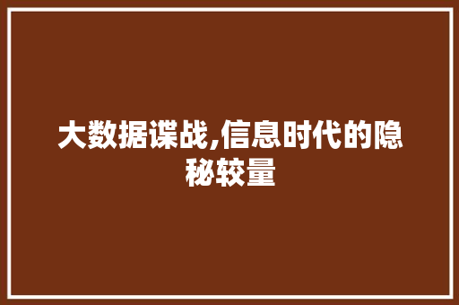 大数据谍战,信息时代的隐秘较量