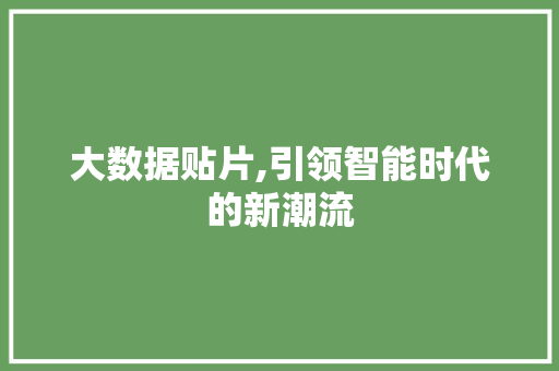 大数据贴片,引领智能时代的新潮流