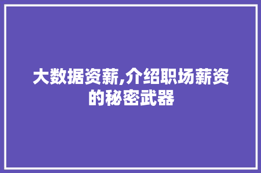 大数据资薪,介绍职场薪资的秘密武器