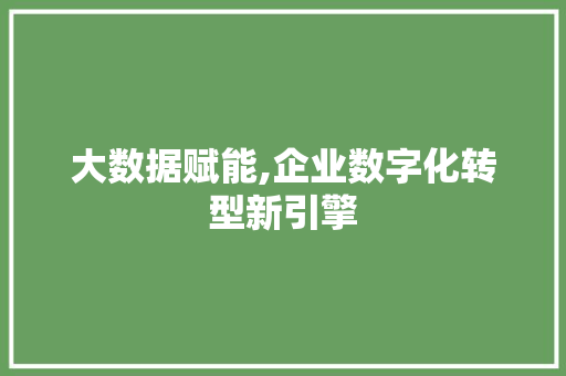 大数据赋能,企业数字化转型新引擎