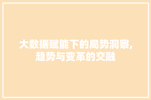 大数据赋能下的局势洞察,趋势与变革的交融